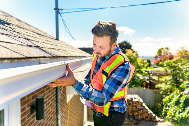 Best Roof Moss and Algae Removal  in San Elizario, TX